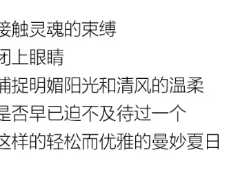 YF | 夏 你好，盛夏隨心型走